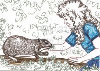 Tree Hyrax